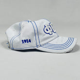 PBS White Denim dad hat